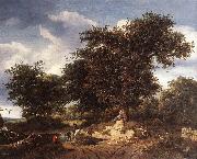 RUISDAEL, Jacob Isaackszon van The Great Oak af USA oil painting reproduction
